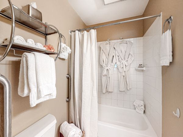 Vail Lionshead Home 1022649