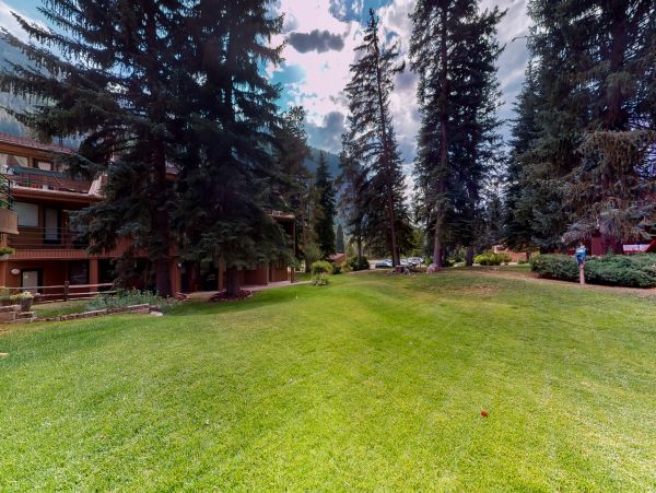 Vail Lionshead Home 1022649