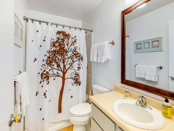 Vail Lionshead Home 1022650