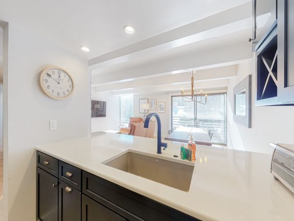 Vail Lionshead Home 1022653