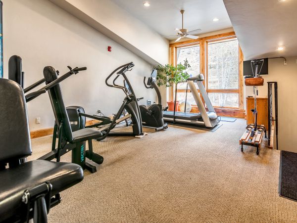 Vail Lionshead Home 1022653