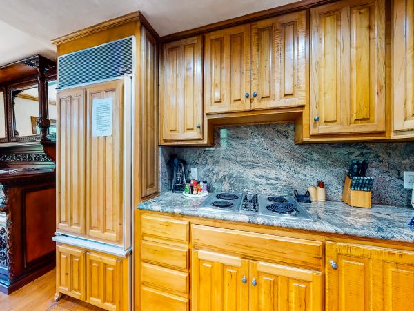 Vail Lionshead Home 1022654