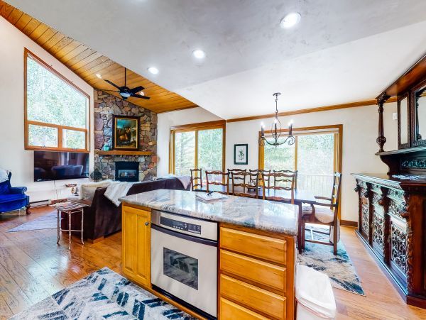 Vail Lionshead Home 1022654