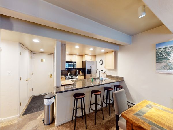 Vail Lionshead Home 1022656