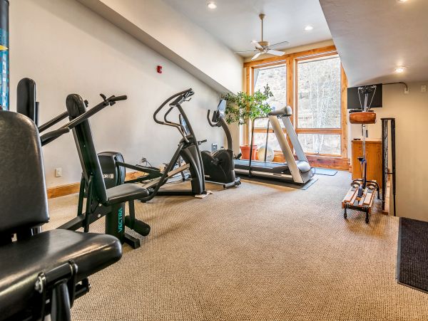Vail Lionshead Home 1022656