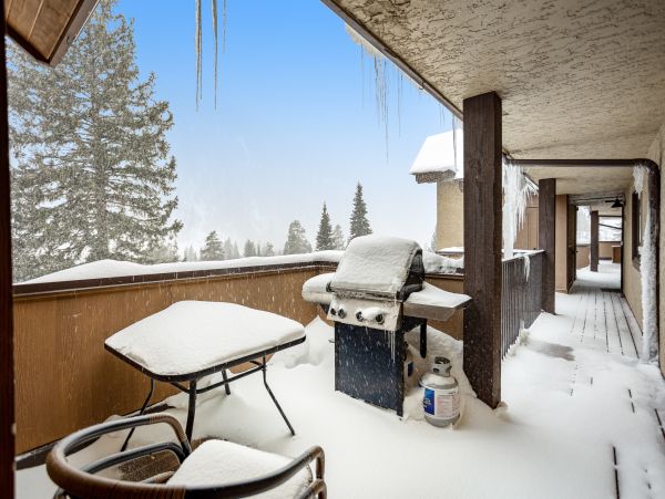 Vail Lionshead Home 1022657