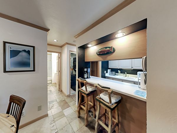 Vail Lionshead Home 1022658