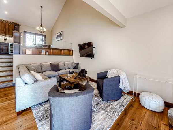 Vail Lionshead Home 1022659
