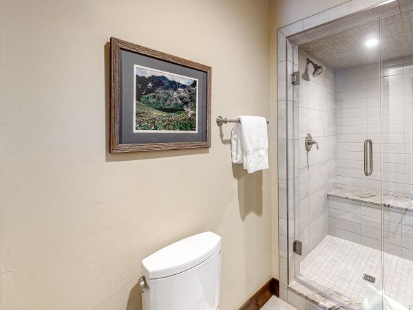 Vail Lionshead Home 1022659