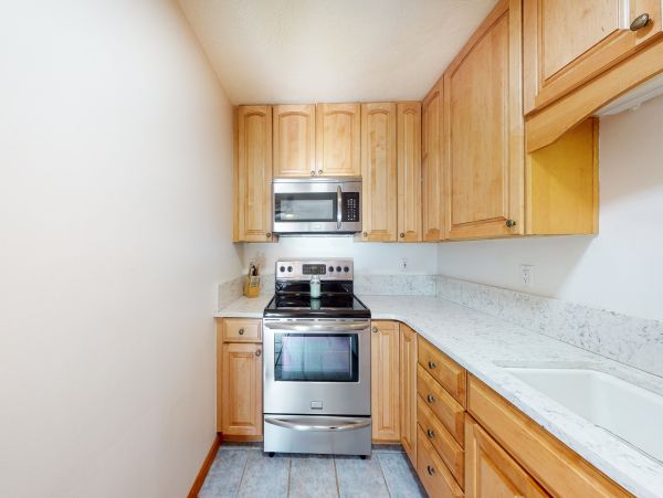 Vail Lionshead Home 1022660
