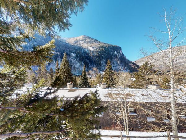 Vail Lionshead Home 1022660