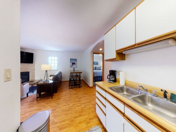 Vail Lionshead Home 1022661