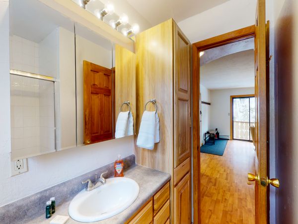 Vail Lionshead Home 1022661