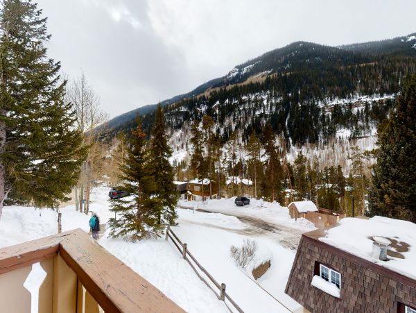 Vail Lionshead Home 1022661
