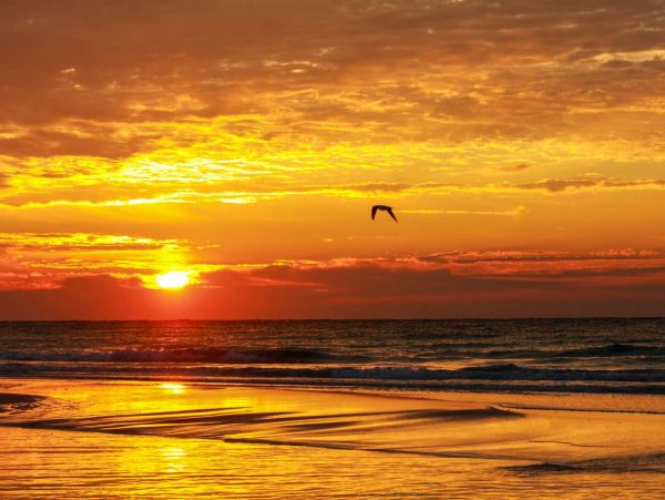 Panama City Beach Condo 1022684