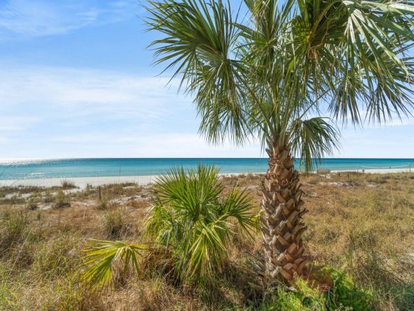 Panama City Beach Condo 1022703