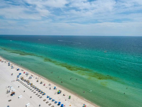 Panama City Beach Condo 1022730