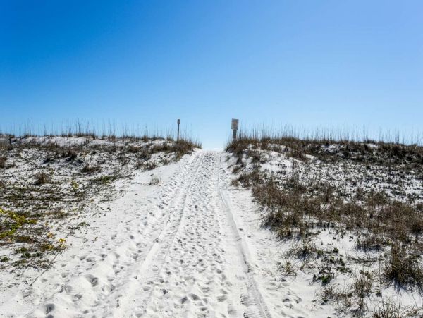 Panama City Beach Condo 1022740