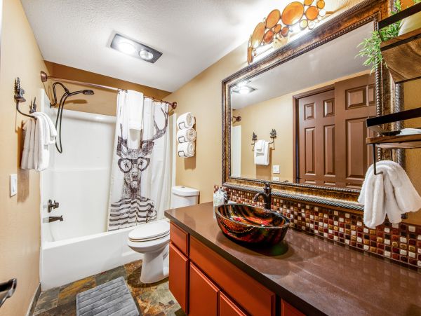 Big Bear Home 1022764