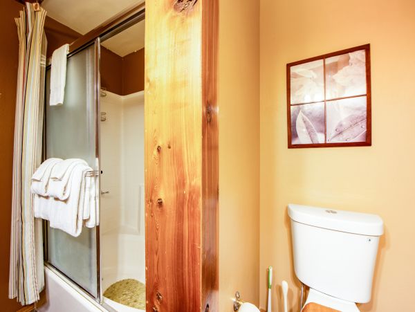 Big Bear Home 1022765
