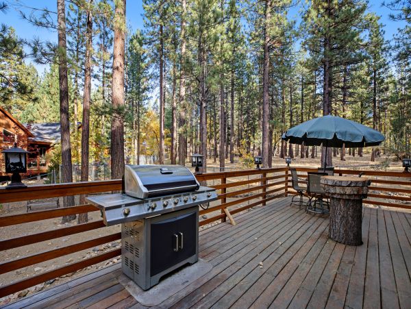 Big Bear Home 1022765