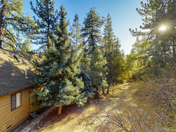 Big Bear Home 1022767