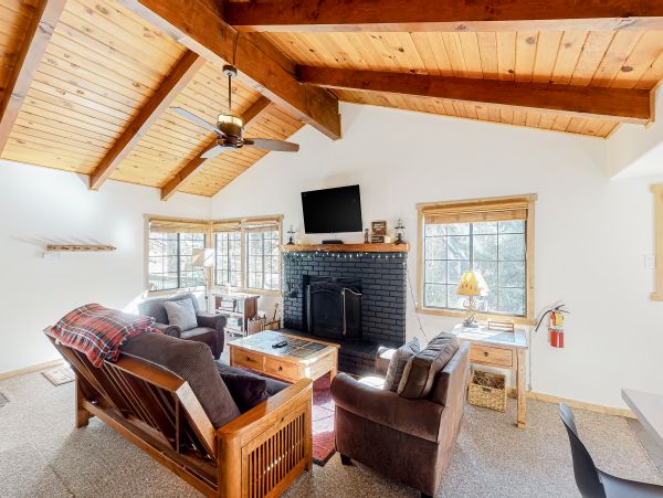 Big Bear Home 1022767