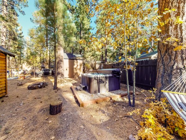 Big Bear Home 1022768