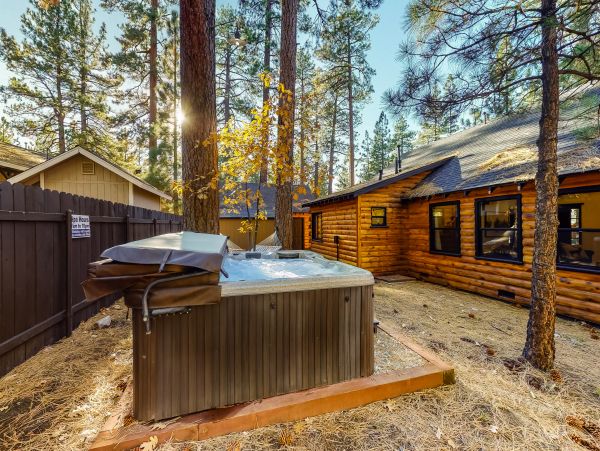 Big Bear Home 1022768