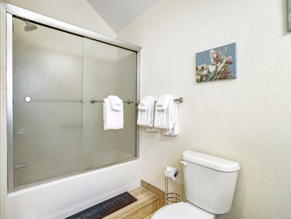 Mountain Vacation Rental with 4 Bedrooms in Big Bear
