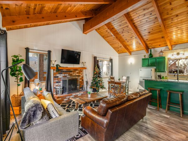 Big Bear Home 1022770