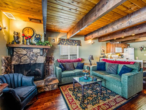 Big Bear Home 1022772