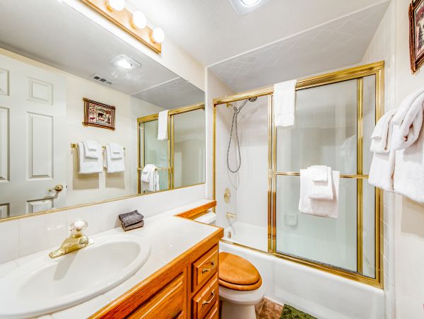 Big Bear Home 1022773