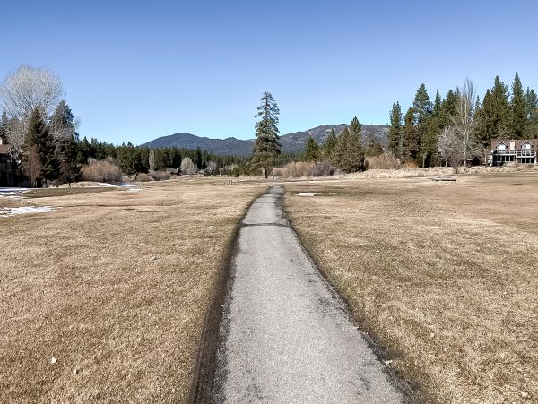 Big Bear Home 1022773