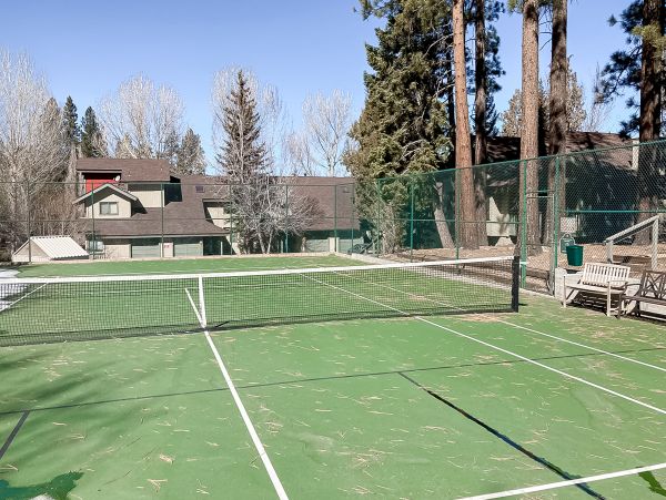 Big Bear Home 1022773