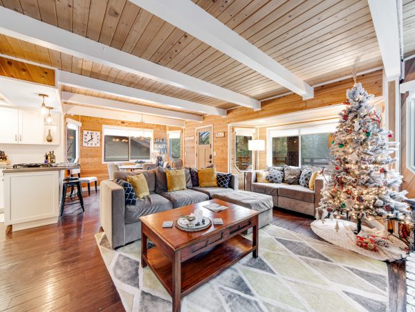 Big Bear Home 1022774