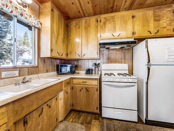 Big Bear Home 1022775