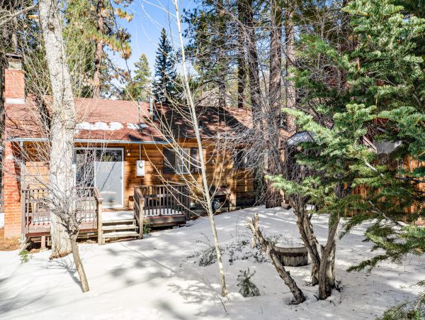 Big Bear Home 1022775