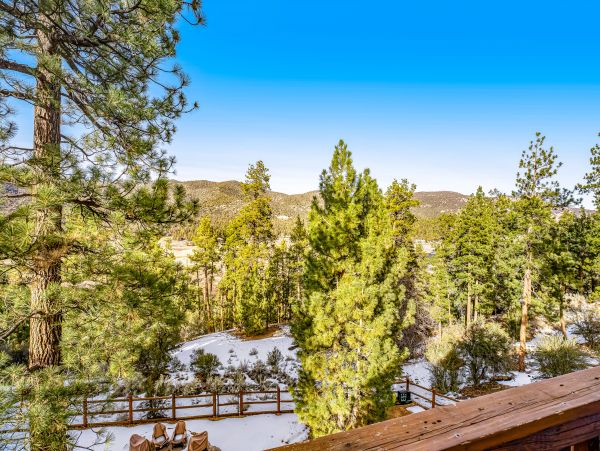 Big Bear Home 1022776