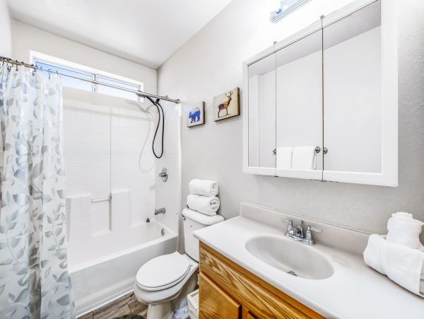 Big Bear Home 1022777