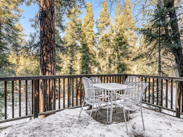 Big Bear Home 1022778