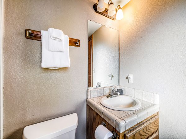 Big Bear Home 1022778