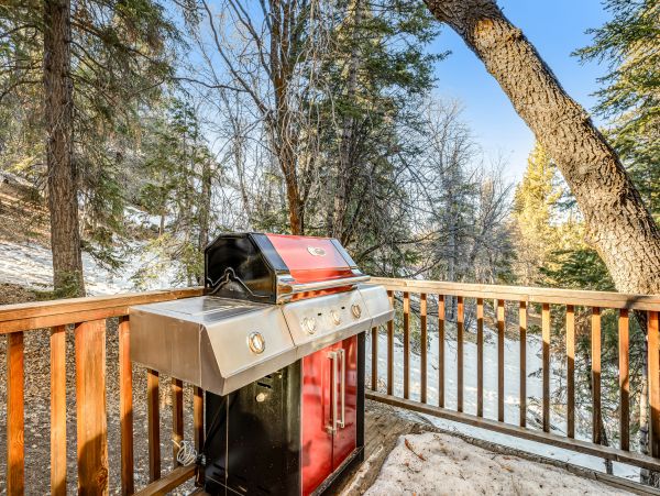Big Bear Home 1022778