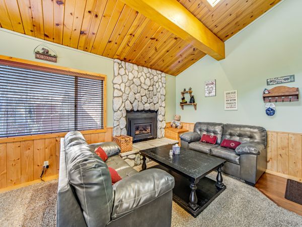 Big Bear Home 1022779