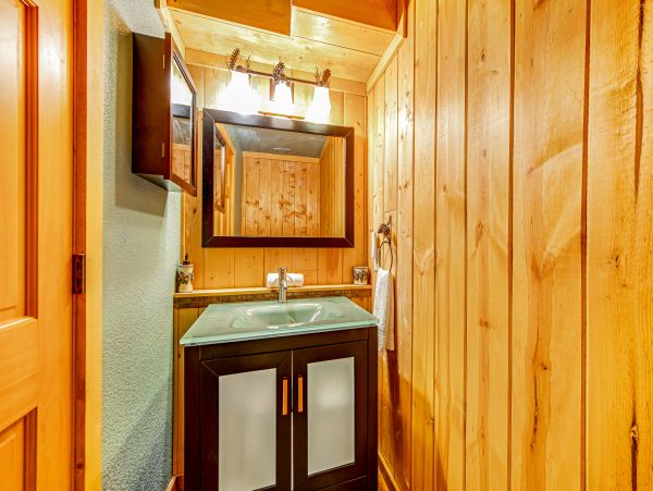Big Bear Home 1022779