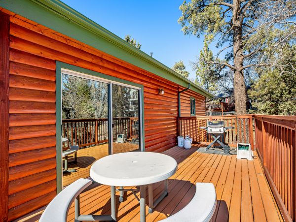 Big Bear Home 1022779