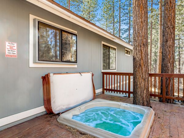 Big Bear Home 1022781