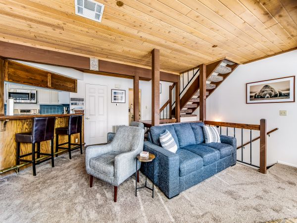 Big Bear Home 1022784