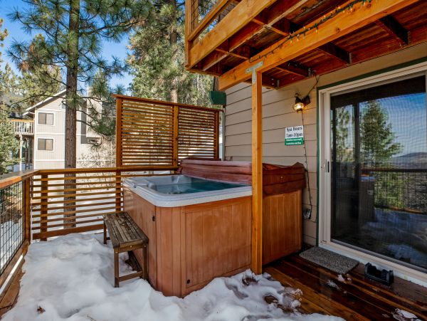 Big Bear Home 1022785