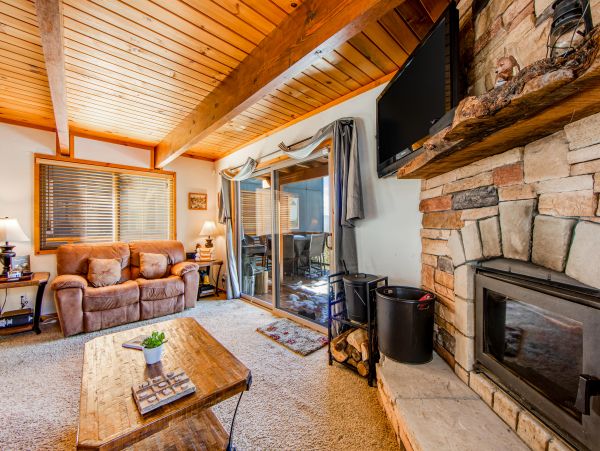 Big Bear Home 1022785
